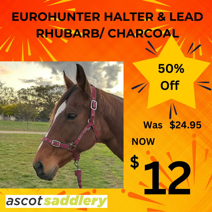 Headstall Webbing Eurohunter Comfort & Lead Rhubarb/charcoal