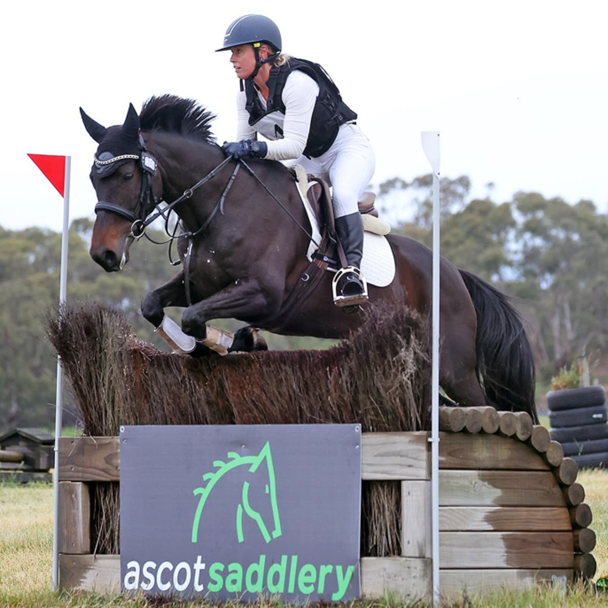 Ascot Saddlery