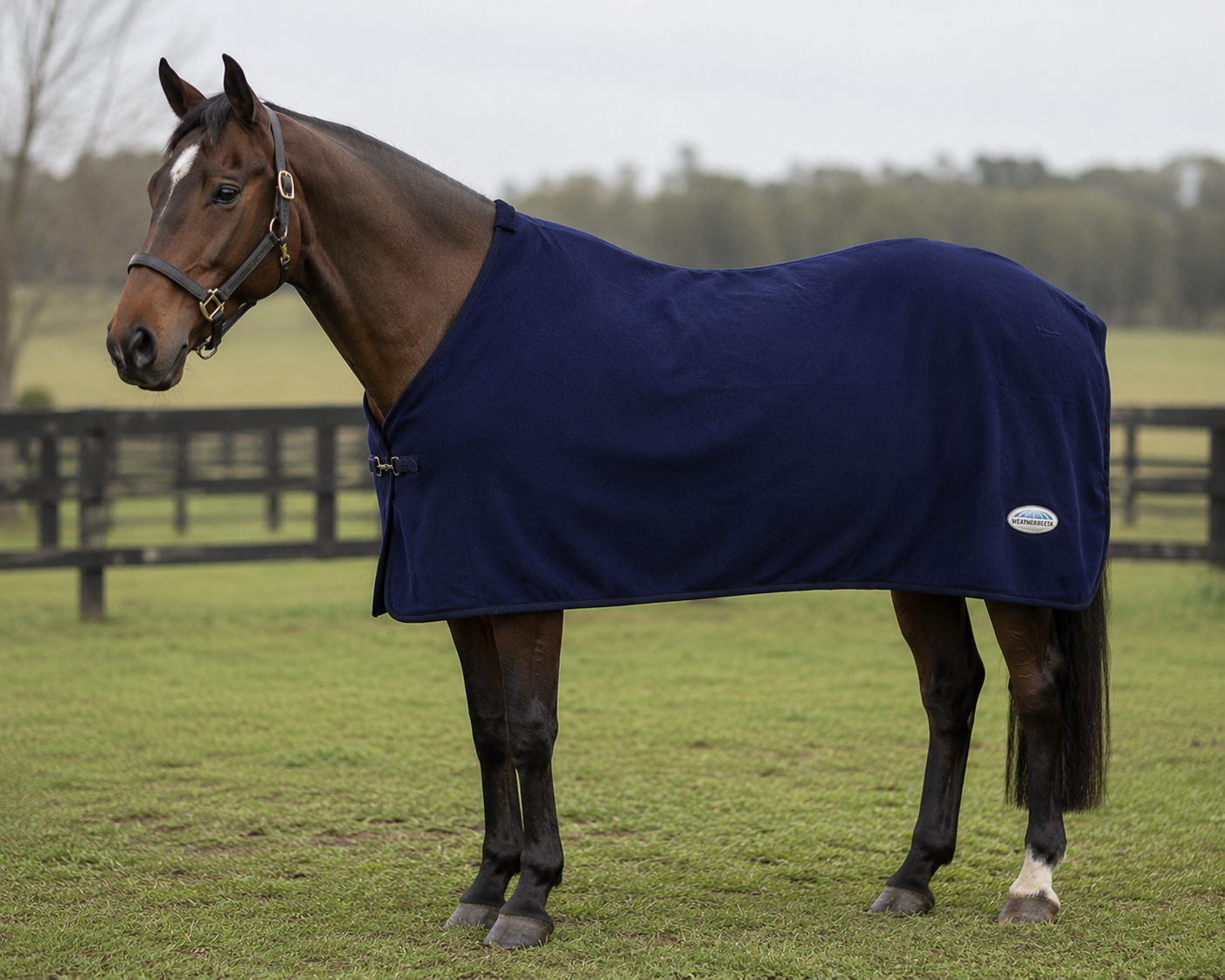 Polar Fleece Rug Dakota Navy