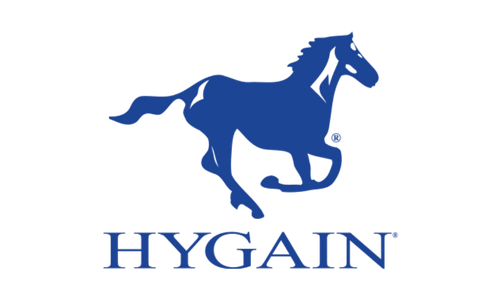 Ascot Saddlery