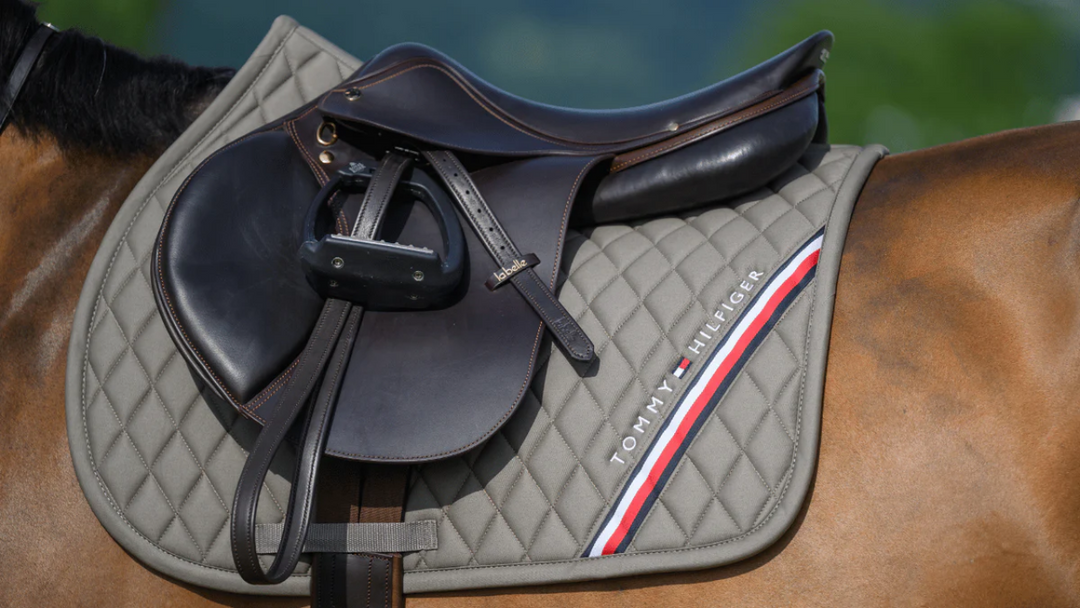 Saddlecloth Jumping Tommy Hilfiger Stanford Ash Full