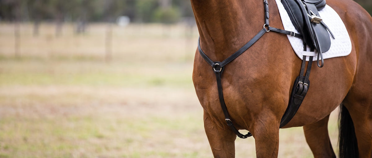 Shop Breastplates & Martingales collection banner