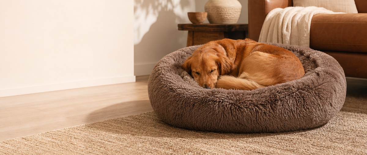 Shop Dog Bedding collection banner