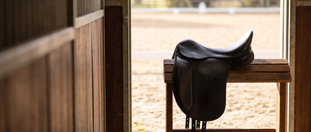 Shop Dressage Saddles collection banner