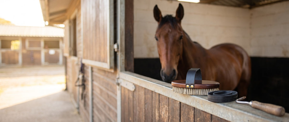 Shop Grooming collection banner