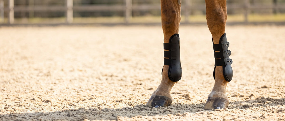 Shop Horse Boots collection banner