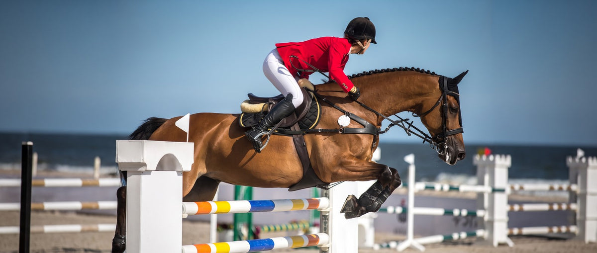 Shop Jumping Saddles collection banner