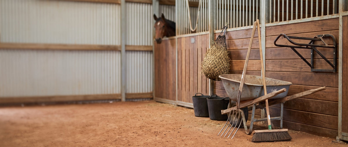 Shop Stable Equipment collection banner
