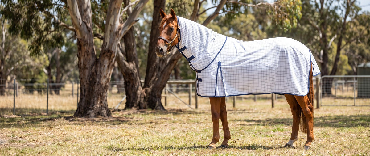 Shop Summer Rugs, Neck Rugs & Hoods collection banner