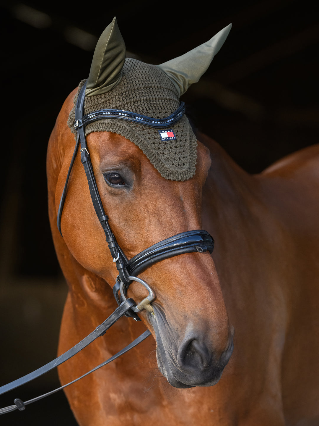 Bonnet Tommy Hilfiiger Lexington Utillity Olive