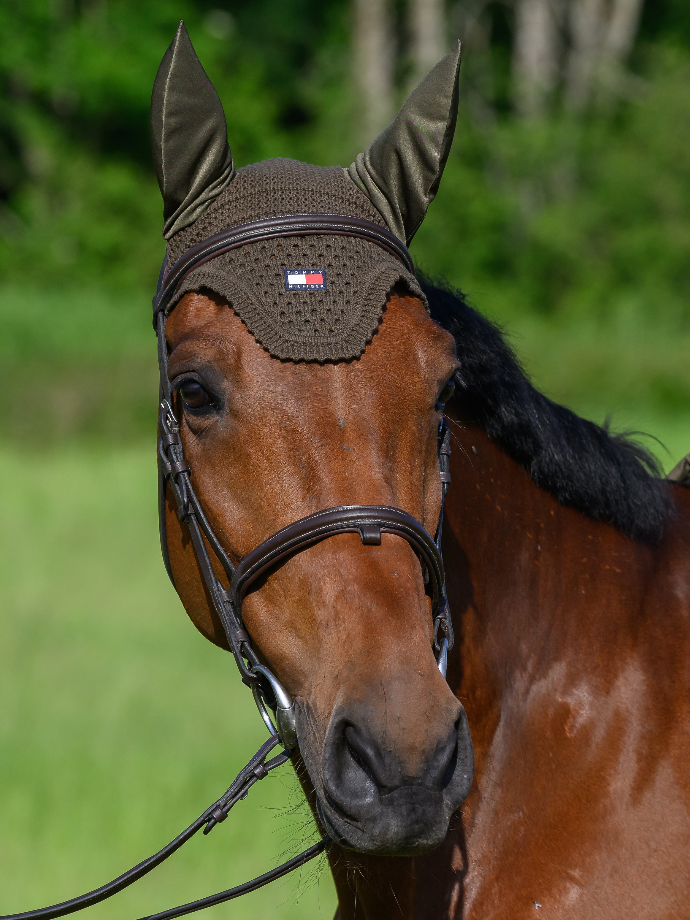 Bonnett Tommy Hilfiiger Lexington Utillity Olive