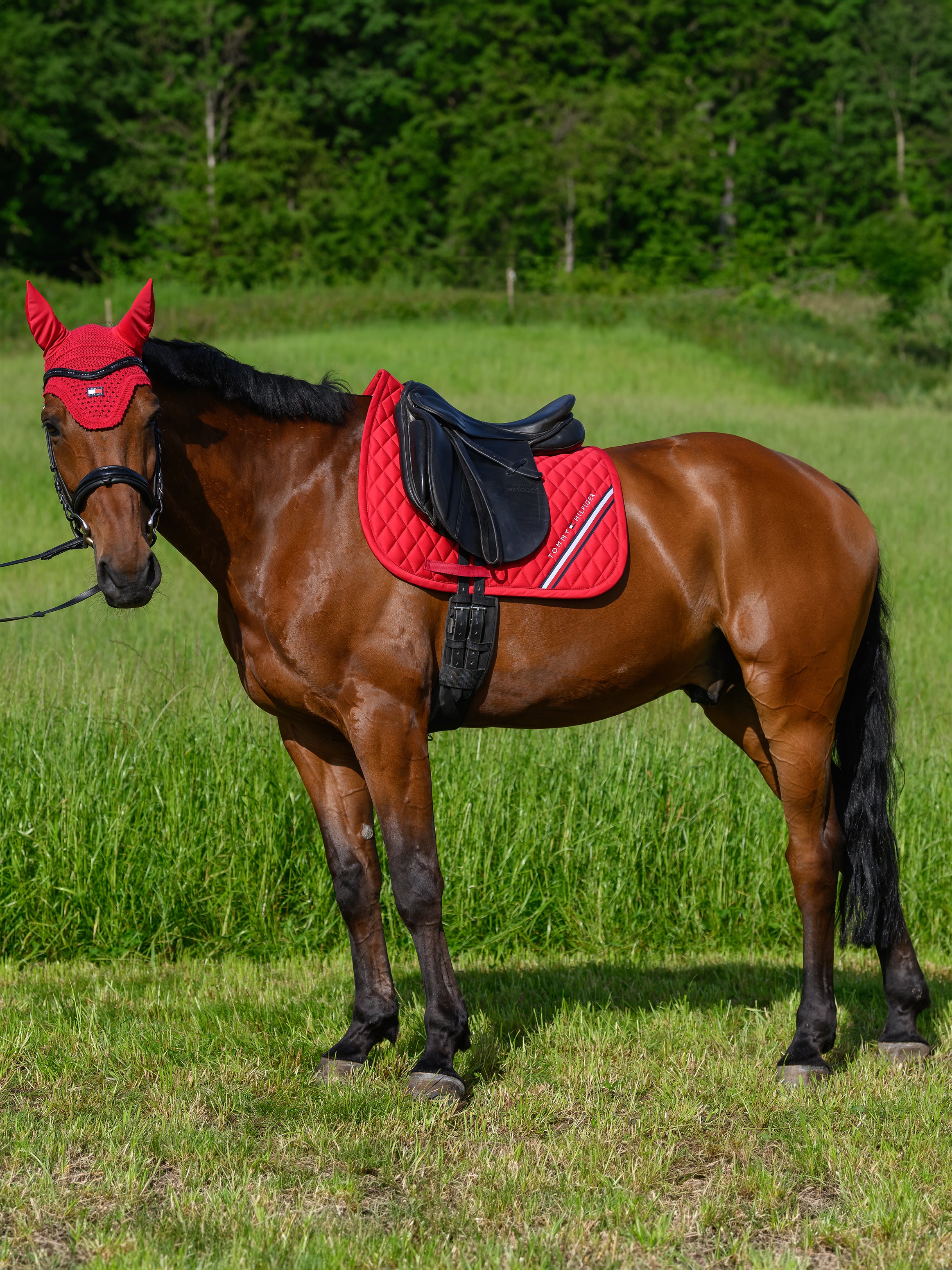 Saddlecloth Dressage Tommy Hilfiger Stanford Primary Red Full