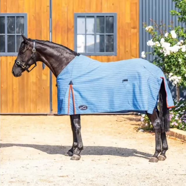 Ascot Saddlery