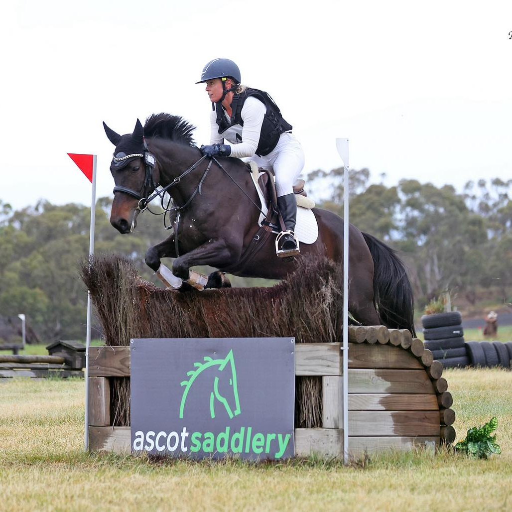 Ascot Saddlery