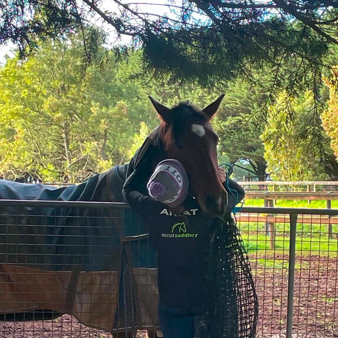 Ascot Saddlery