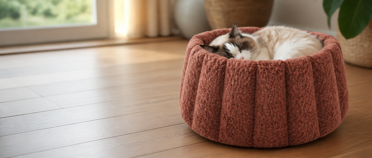 Cat Bedding collection banner