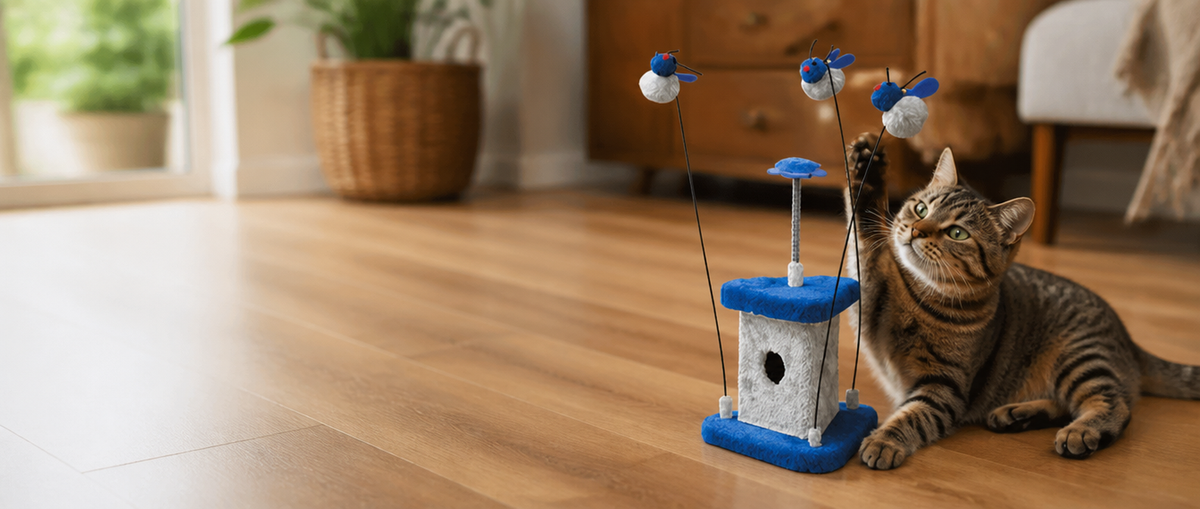 Cat Toys collection banner