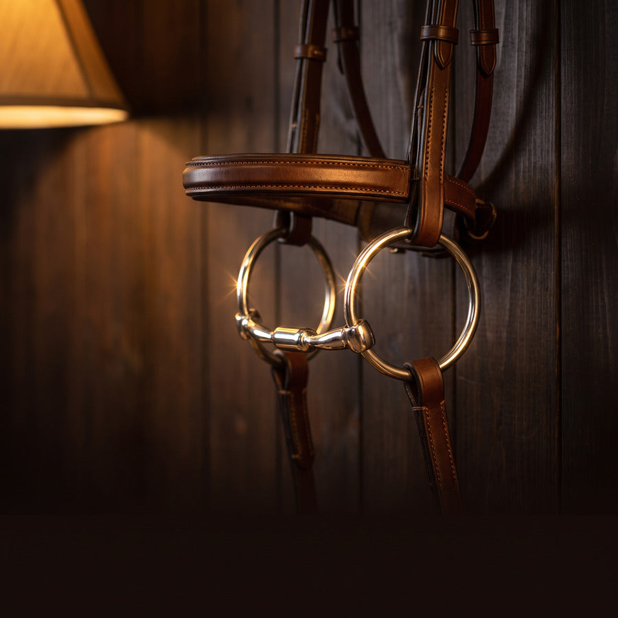 Leather bridle and bit hanging in a stable