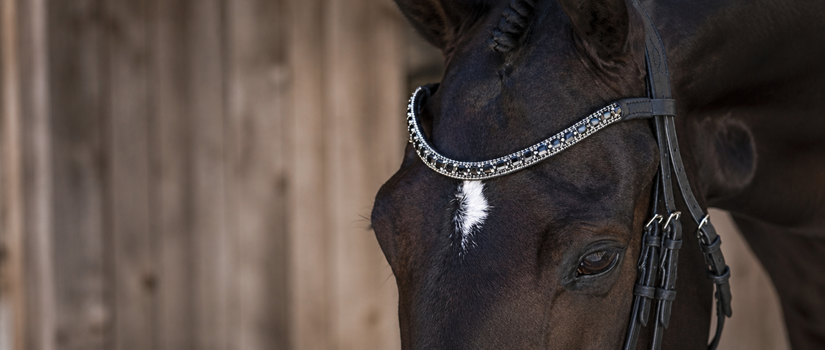 Nosebands & Browbands collection banner
