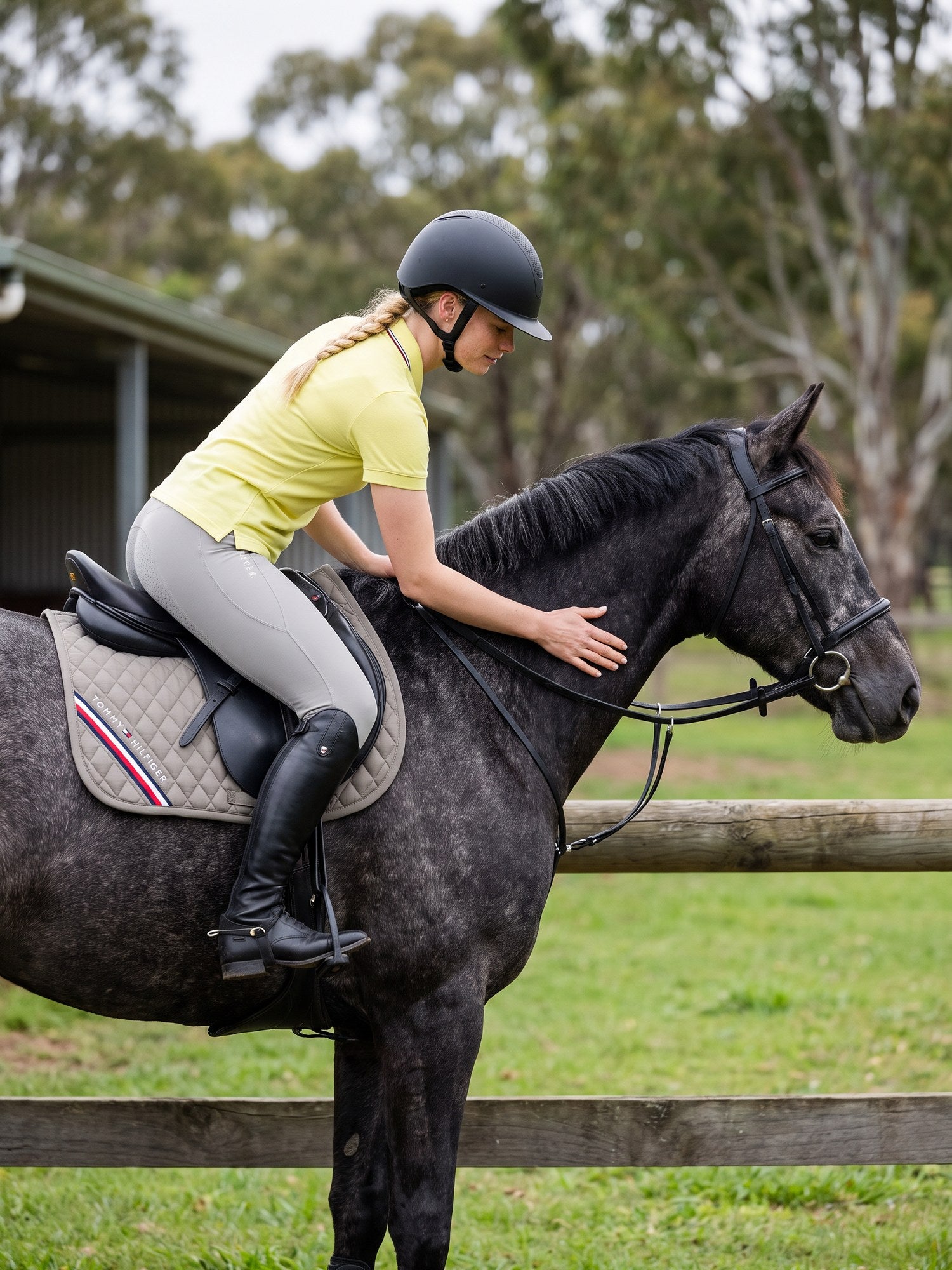 Ascot Saddlery