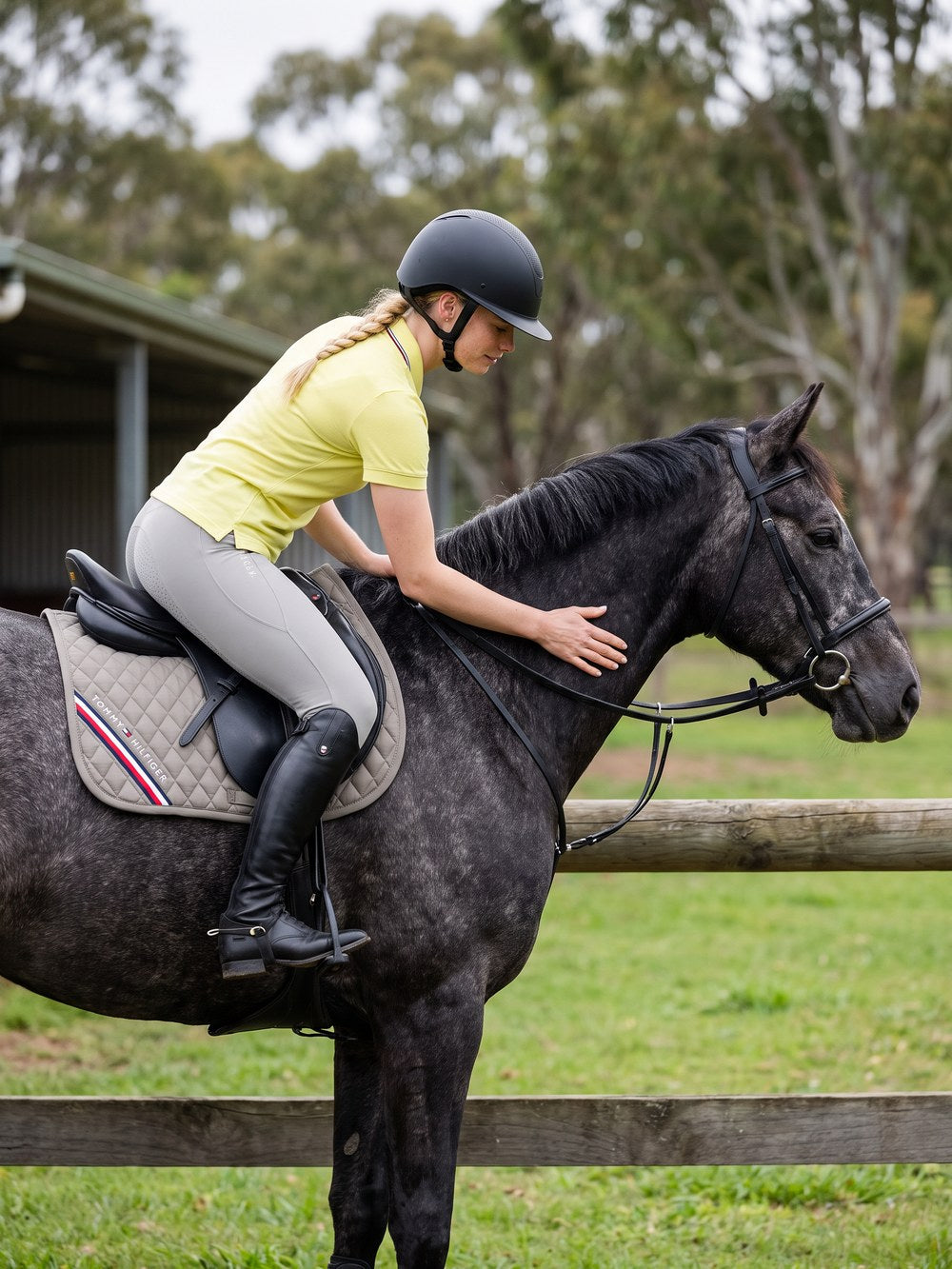 Ascot Saddlery