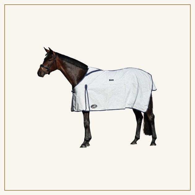Summer Rugs, Neck Rugs & Hoods at Ascot Saddlery