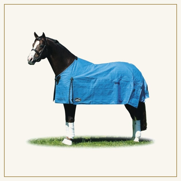 Winter Rugs, Neck Rugs & Hoods at Ascot Saddlery