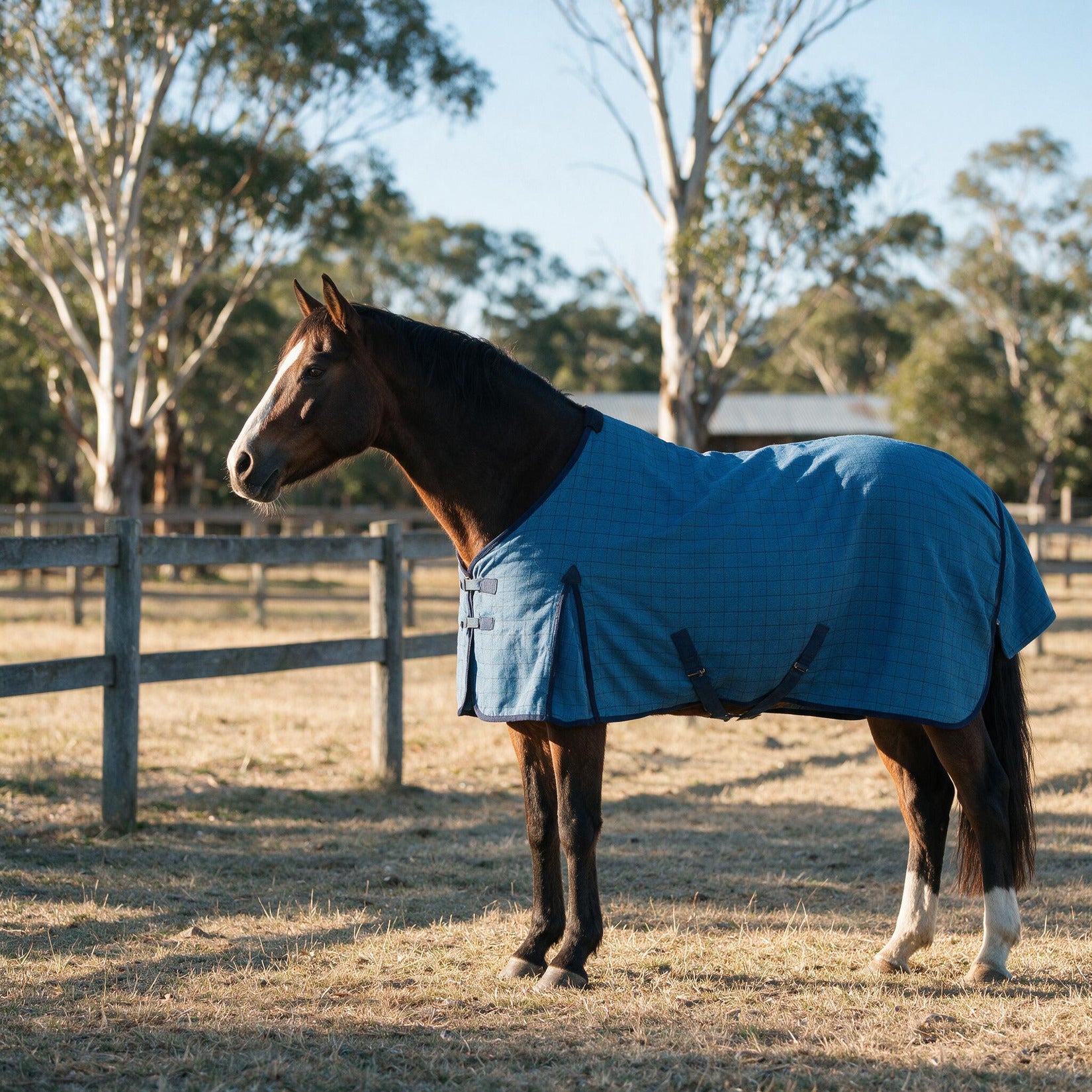 Ascot Saddlery