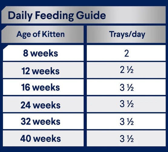 Advance Cat Wet Tray Kitten Chicken & Salmon 7 X 85gm-Cat Food & Treats-Ascot Saddlery