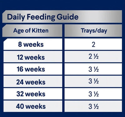 Advance Cat Wet Tray Kitten Tender Chicken Delight 7 X 85gm-Cat Food & Treats-Ascot Saddlery