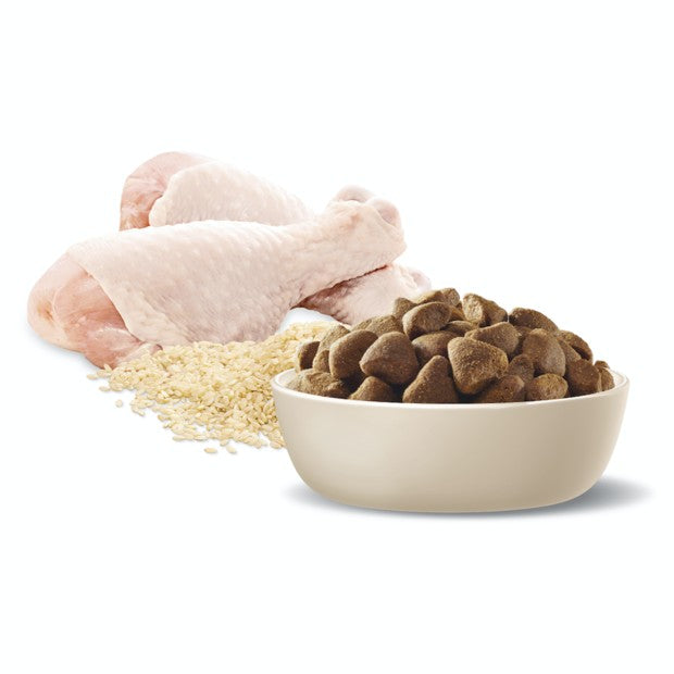Advance Dog Adult Chicken Large Breed 15kg-Dog Food-Ascot Saddlery