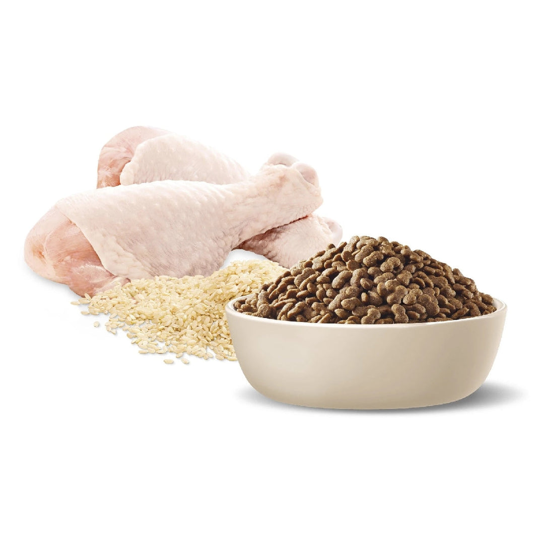 Advance Dog Adult Chicken & Rice Small Breed 8kg-Dog Food-Ascot Saddlery