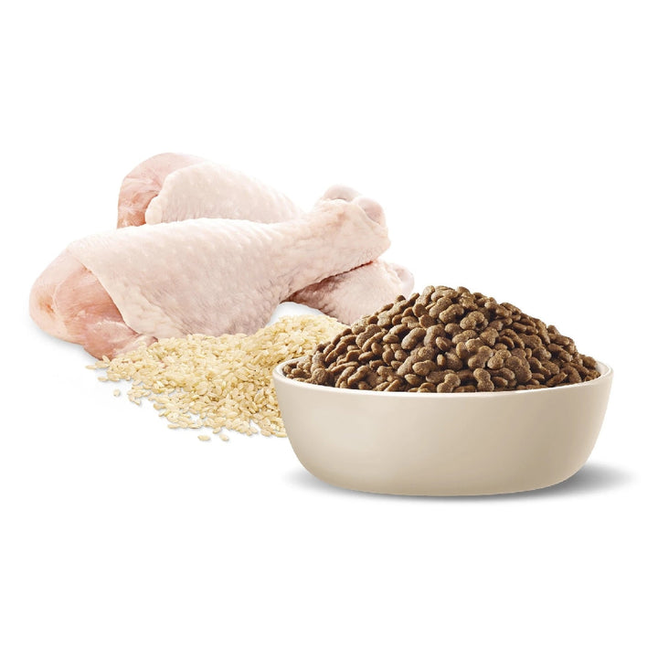 Advance Dog Adult Chicken & Rice Small Breed 8kg-Dog Food-Ascot Saddlery