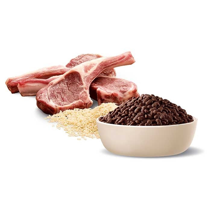 Advance Dog Adult Lamb & Rice Toy & Small Breed 3kg-Dog Food-Ascot Saddlery