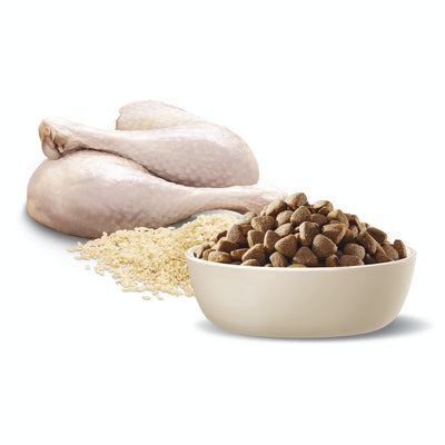 Advance Dog Adult Turkey & Rice All Breed 15kg-Dog Food-Ascot Saddlery