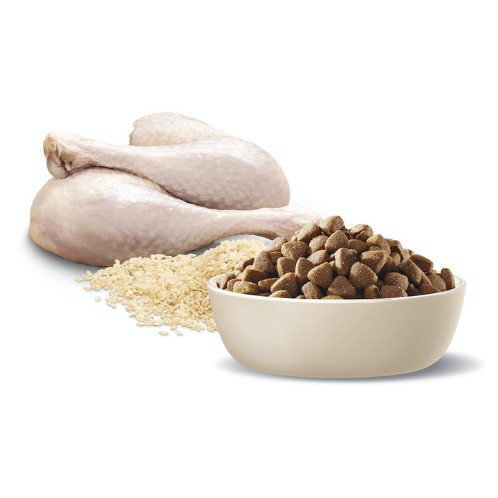 Advance Dog Adult Turkey Toy & Small Breed 3kg-Dog Food-Ascot Saddlery