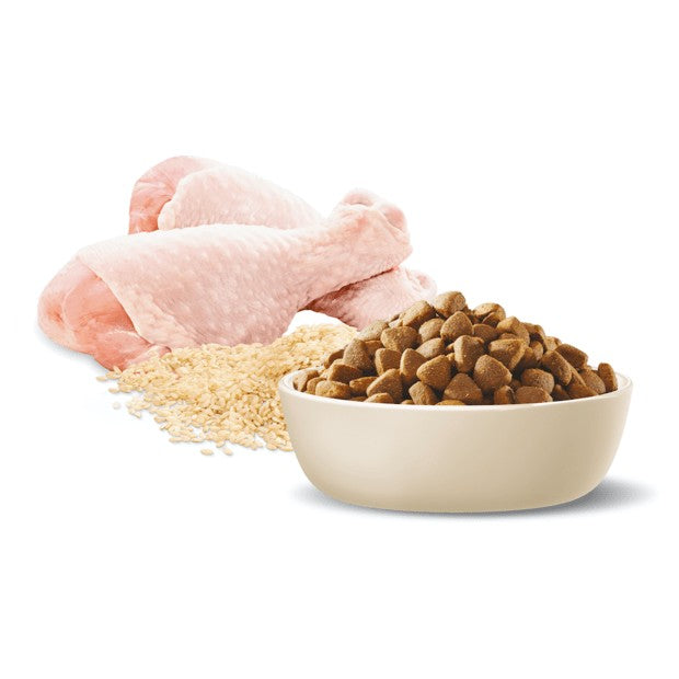 Advance Dog Mature Chicken All Breed 15kg-Dog Food-Ascot Saddlery