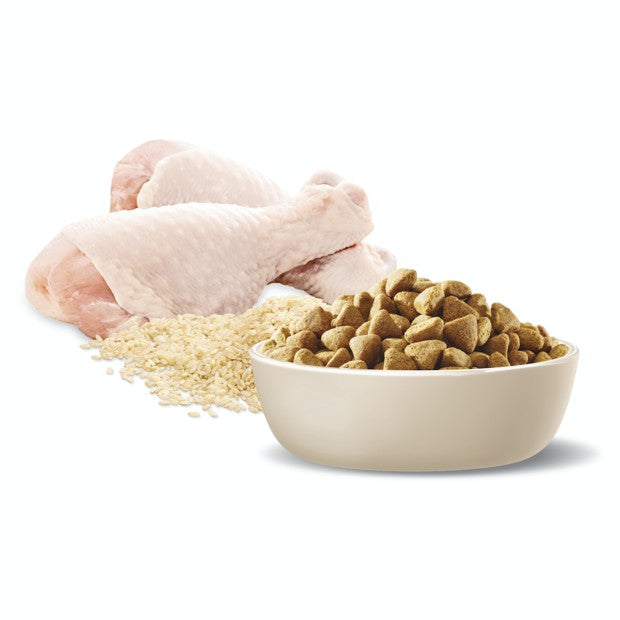 Advance Dog Weight Control Chicken All Breed 13kg-Dog Food-Ascot Saddlery