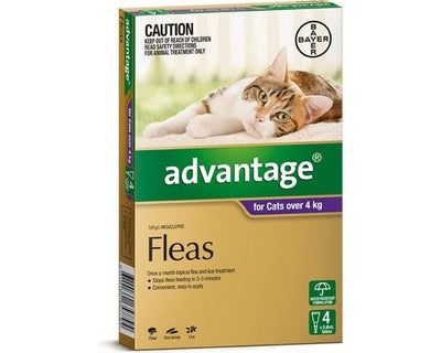 Advantage Cat Over 4kg Large 4 Pack-Cat Potions & Lotions-Ascot Saddlery
