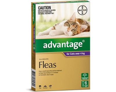 Advantage Cat Over 4kg Large 6 Pack-Cat Potions & Lotions-Ascot Saddlery