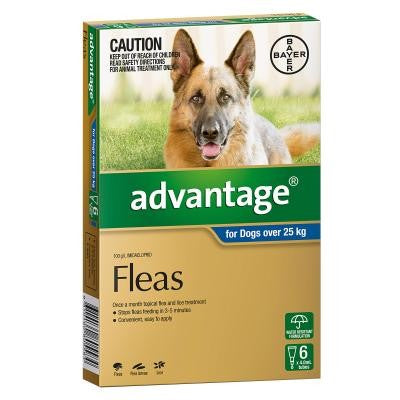 Advantage Dog Over 25kg Exlarge 6 Pack-Dog Wormer & Flea-Ascot Saddlery