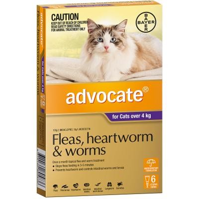 Advocate Cat Over 4kg Large 6 Pack-Cat Potions & Lotions-Ascot Saddlery