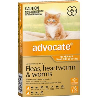 Advocate Cat Under 4kg Small 6 Pack-Cat Potions & Lotions-Ascot Saddlery