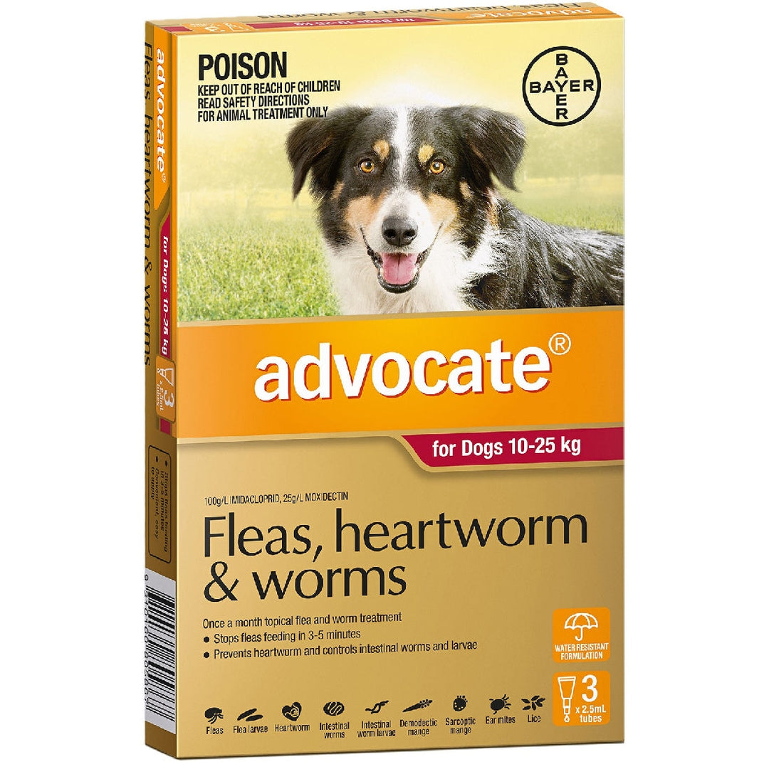 Advocate Dog 10kg-25kg Large 3 Pack-Dog Wormer & Flea-Ascot Saddlery