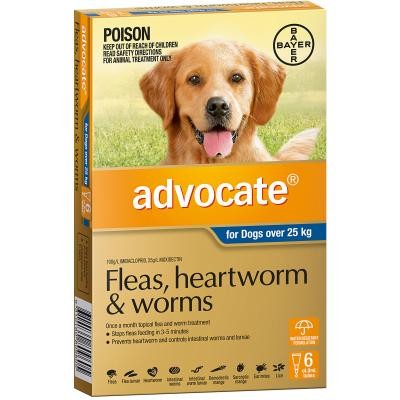 Advocate Dog Over 25kg Exlarge 6 Pack-Dog Wormer & Flea-Ascot Saddlery