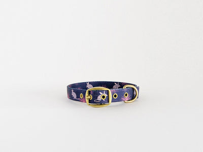 Anipal Dog Collar Billie The Bilby-Dog Collars & Leads-Ascot Saddlery