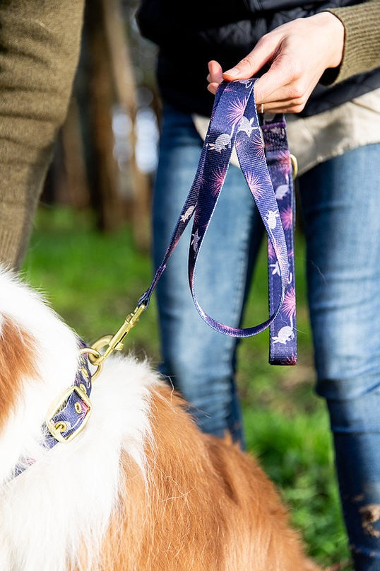 Anipal Dog Leash Billie The Bilby-Dog Collars & Leads-Ascot Saddlery