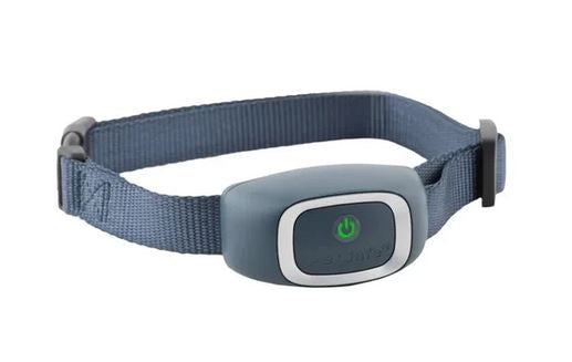Bark Collar Static 16635 Petsafe-Dog Accessories-Ascot Saddlery