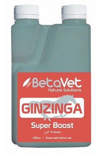 Betavet Ginzinga 250ml-STABLE: Supplements-Ascot Saddlery