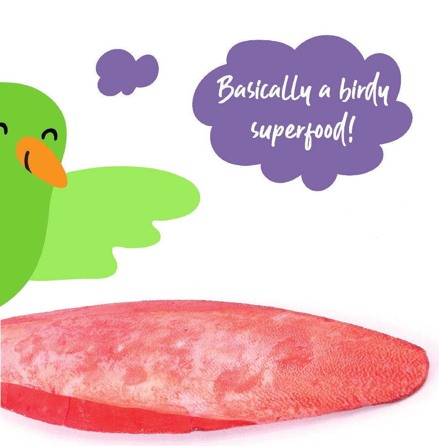 Bird Cuttlebone Flavoured 1 Pack Large-Bird Food & Treats-Ascot Saddlery